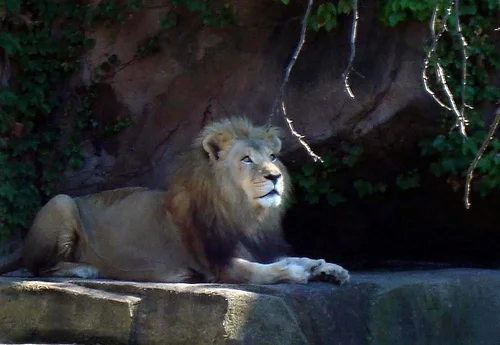 ECOPINION: When does a zoo become a prison?