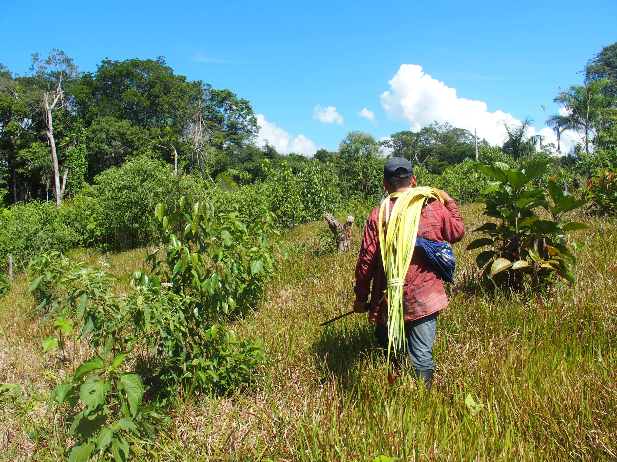 Photo: Purmas - Esperanza