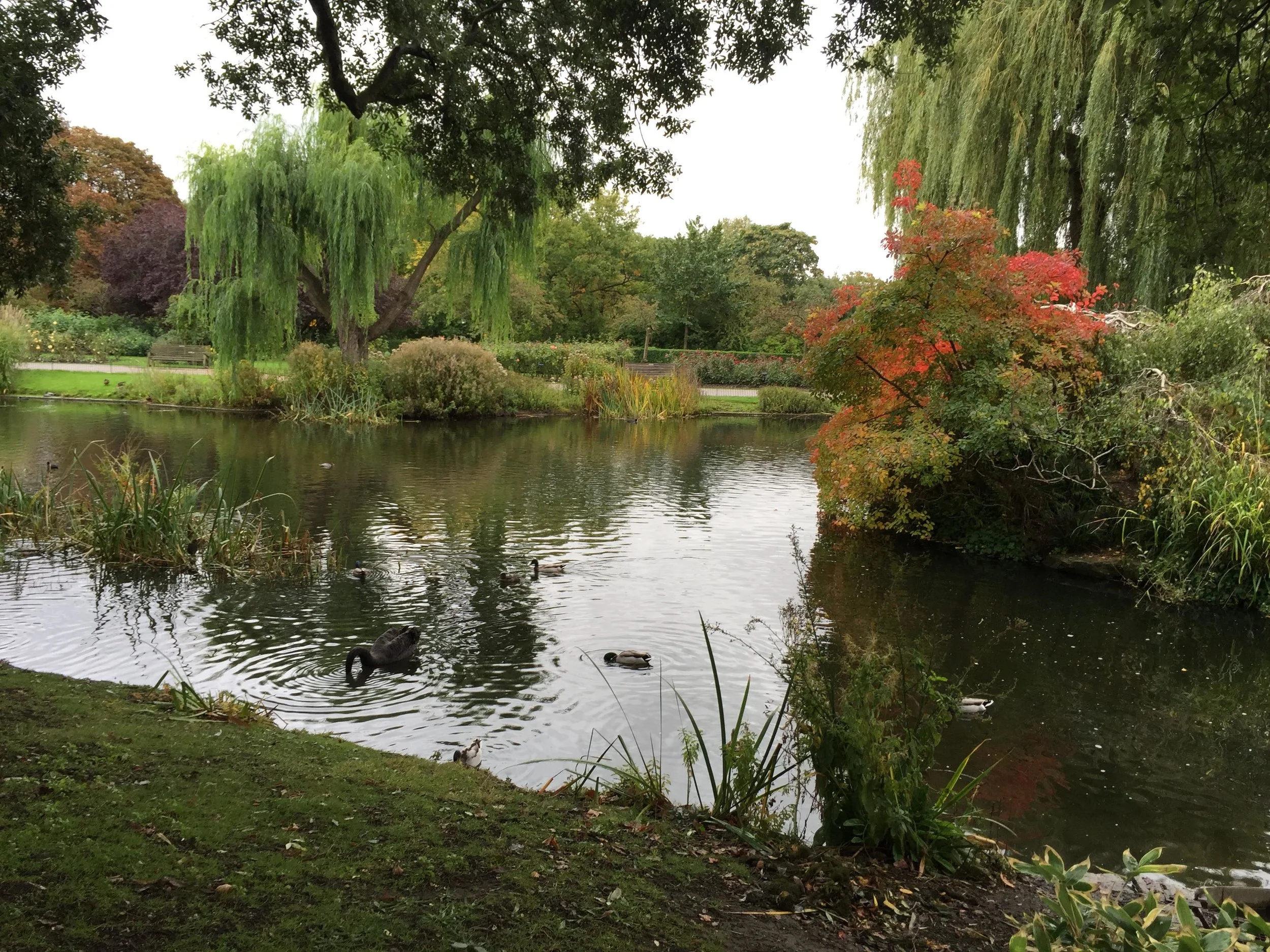 Photo: Regent's Park, London