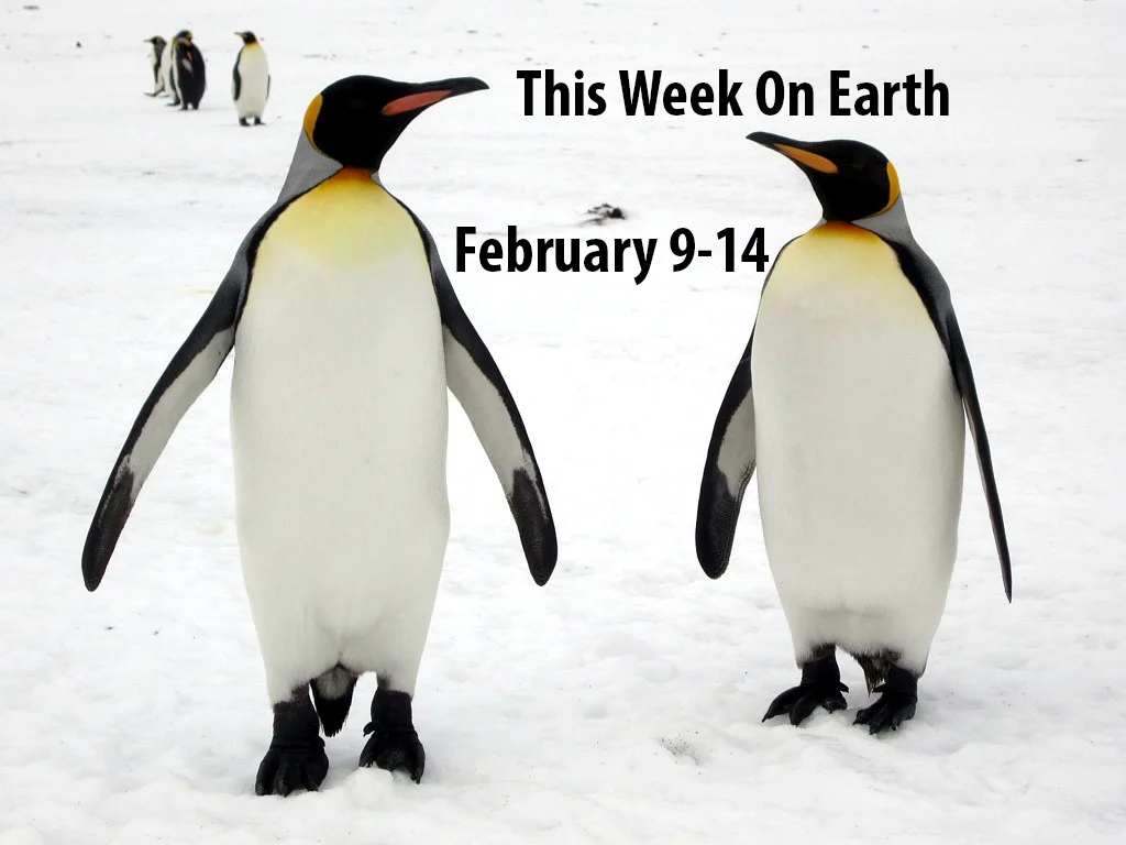 This Week on Earth: February 9-14