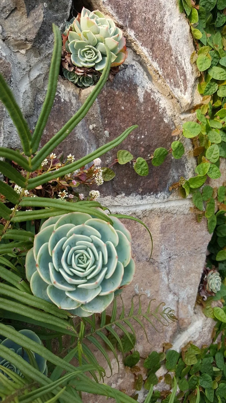 PHOTO: Lake Atitlán, Guatemala