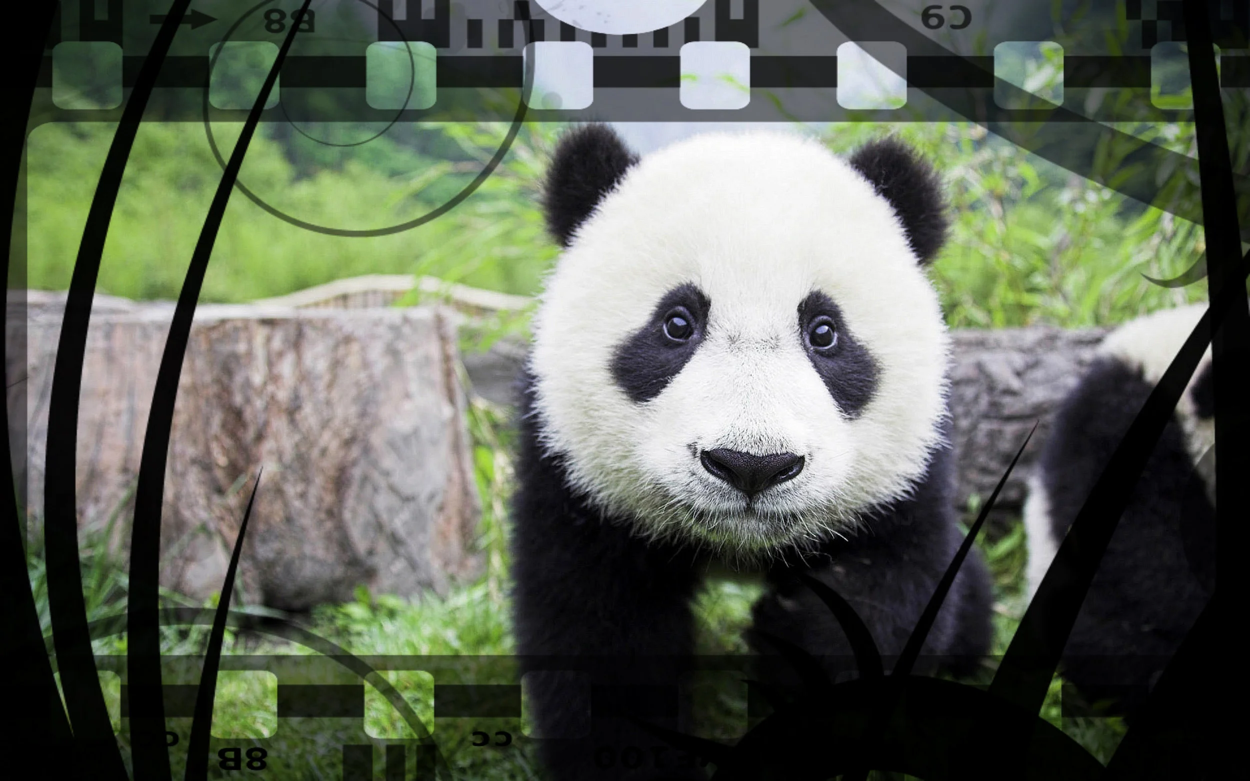 Nature & Chill: 10 Movies to Watch This Earth Day Weekend