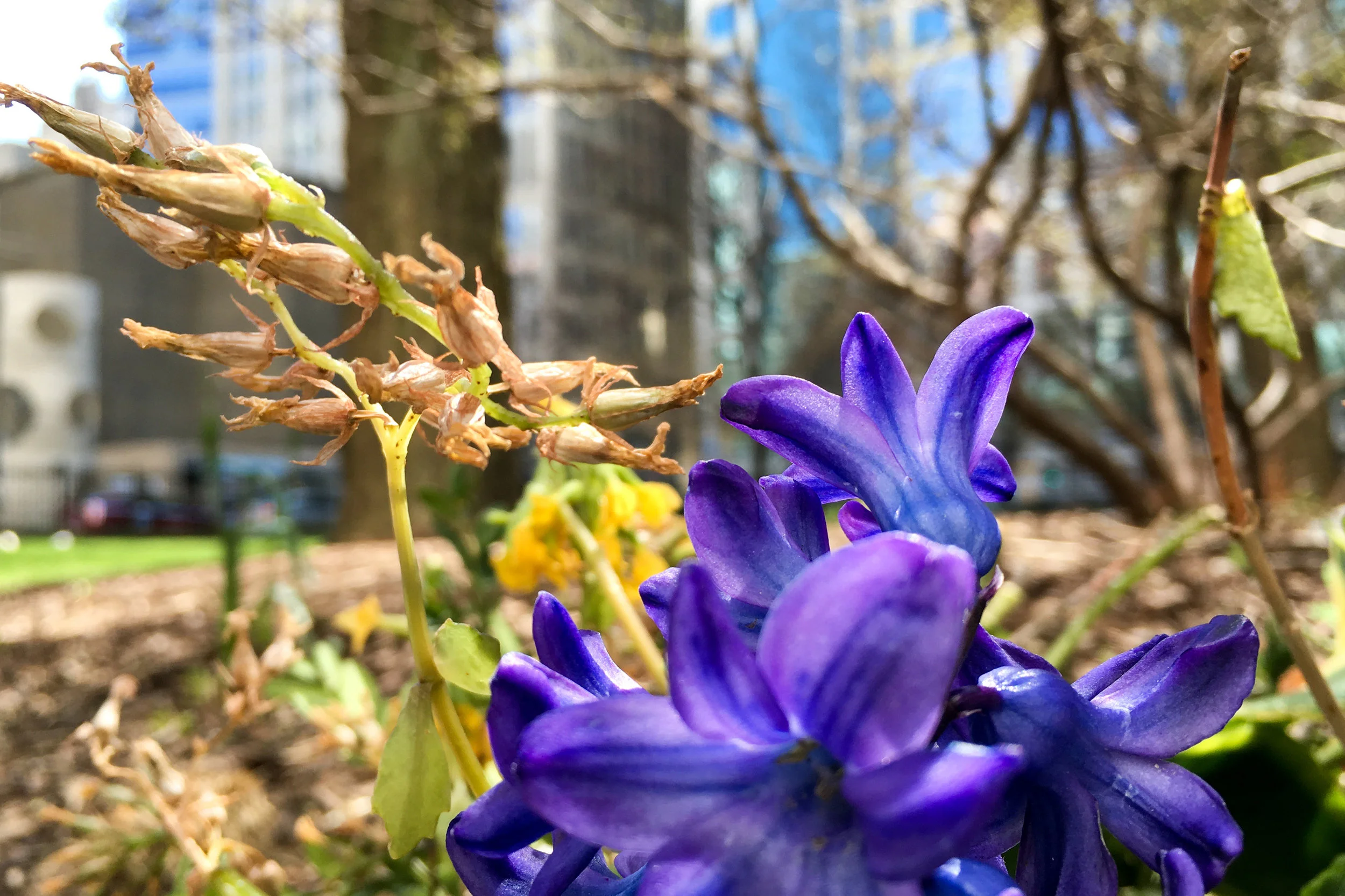 PHOTO: Chicago, Illinois