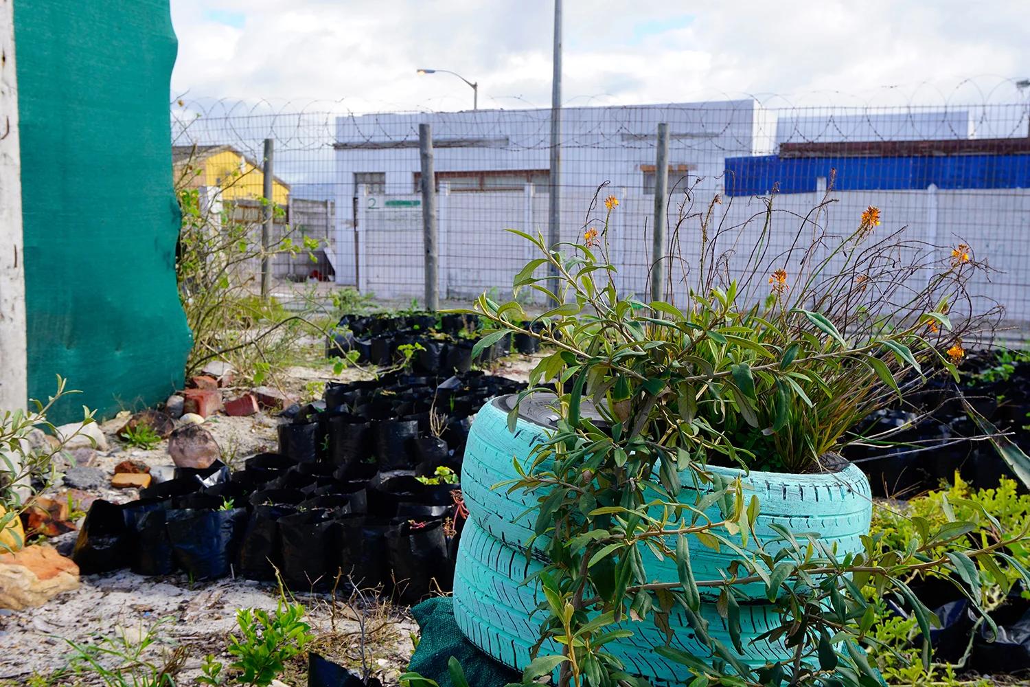 PHOTO: Seawinds, Cape Town