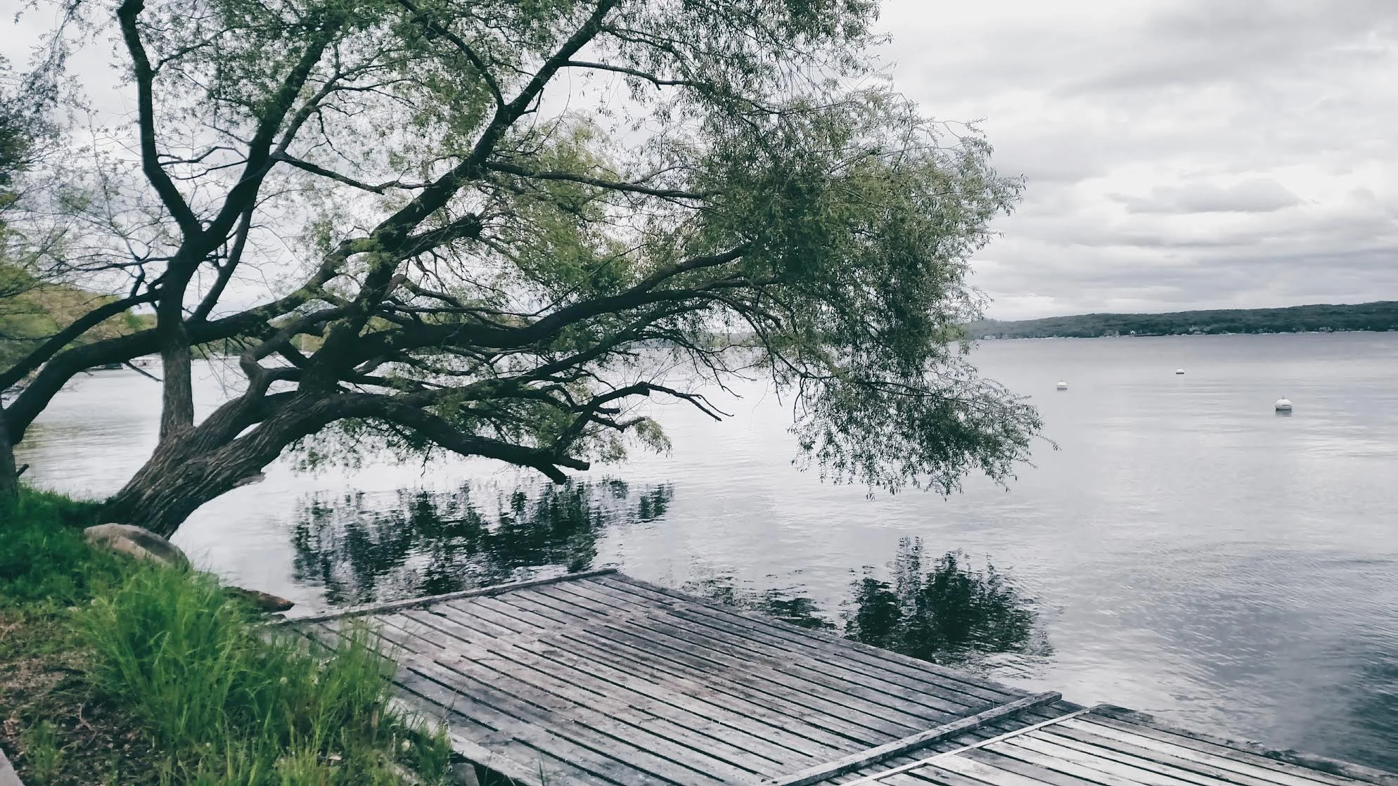 My Relationship with Nature--It's Complicated