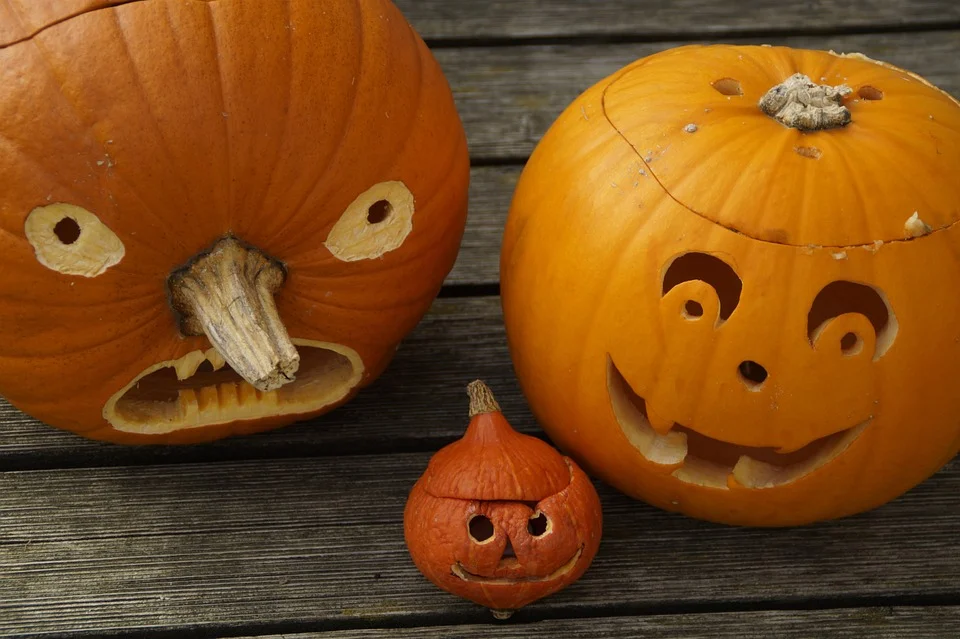 Go Ahead and Look Like Trash This Halloween: 5 Green Costume Ideas