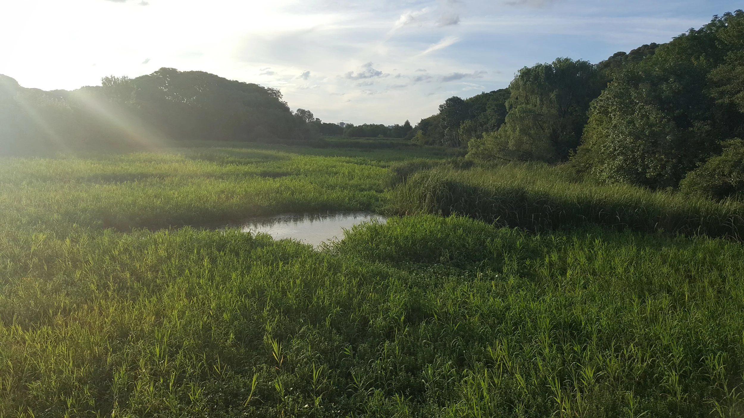 Buenos Aires, Argentina