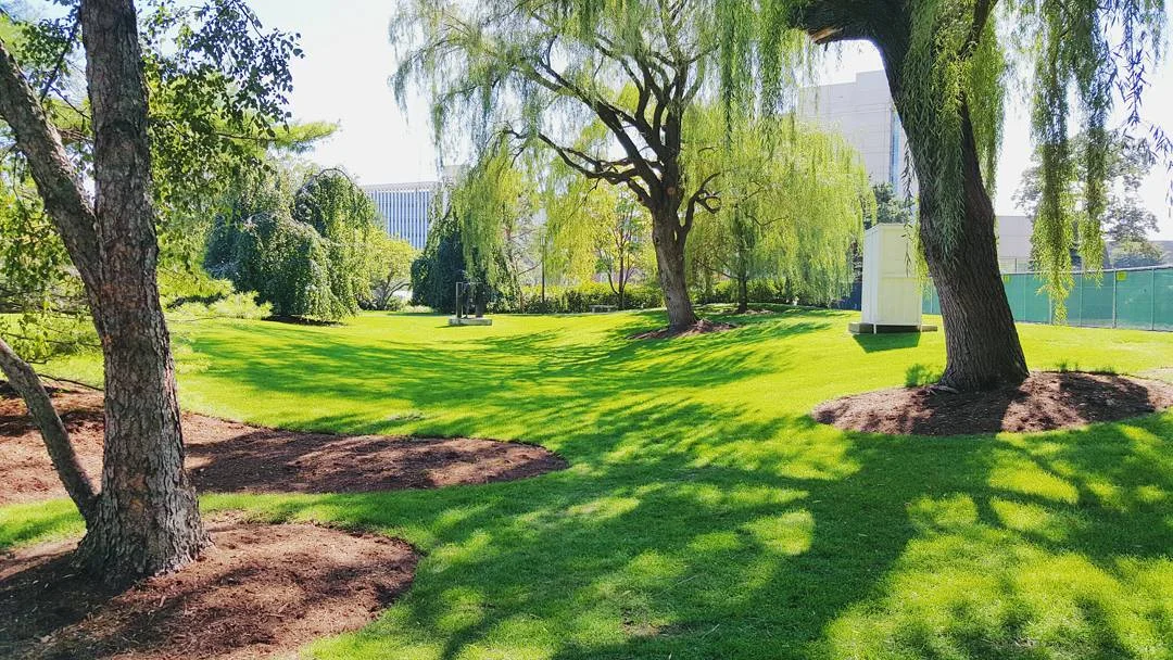 Northwestern's progress towards sustainability