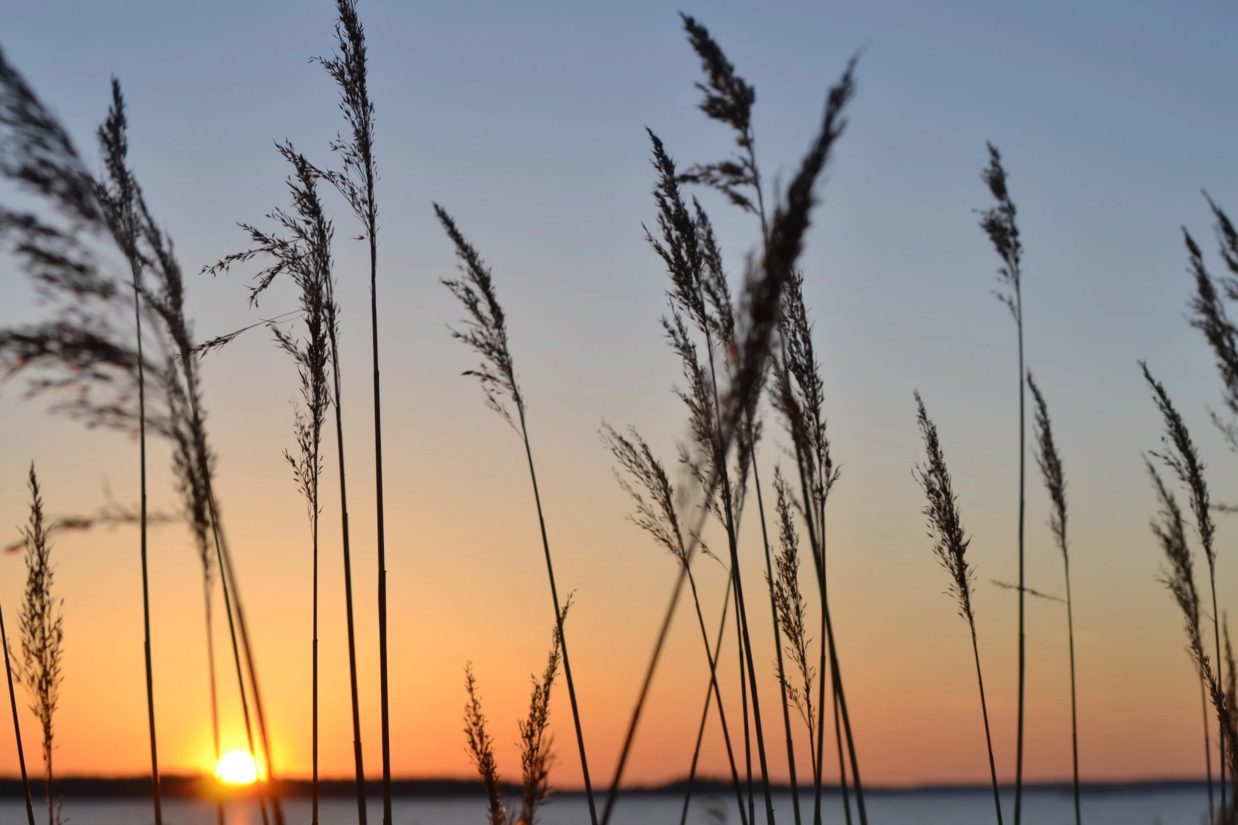 Photo: Stockholm Archipelago, Sweden