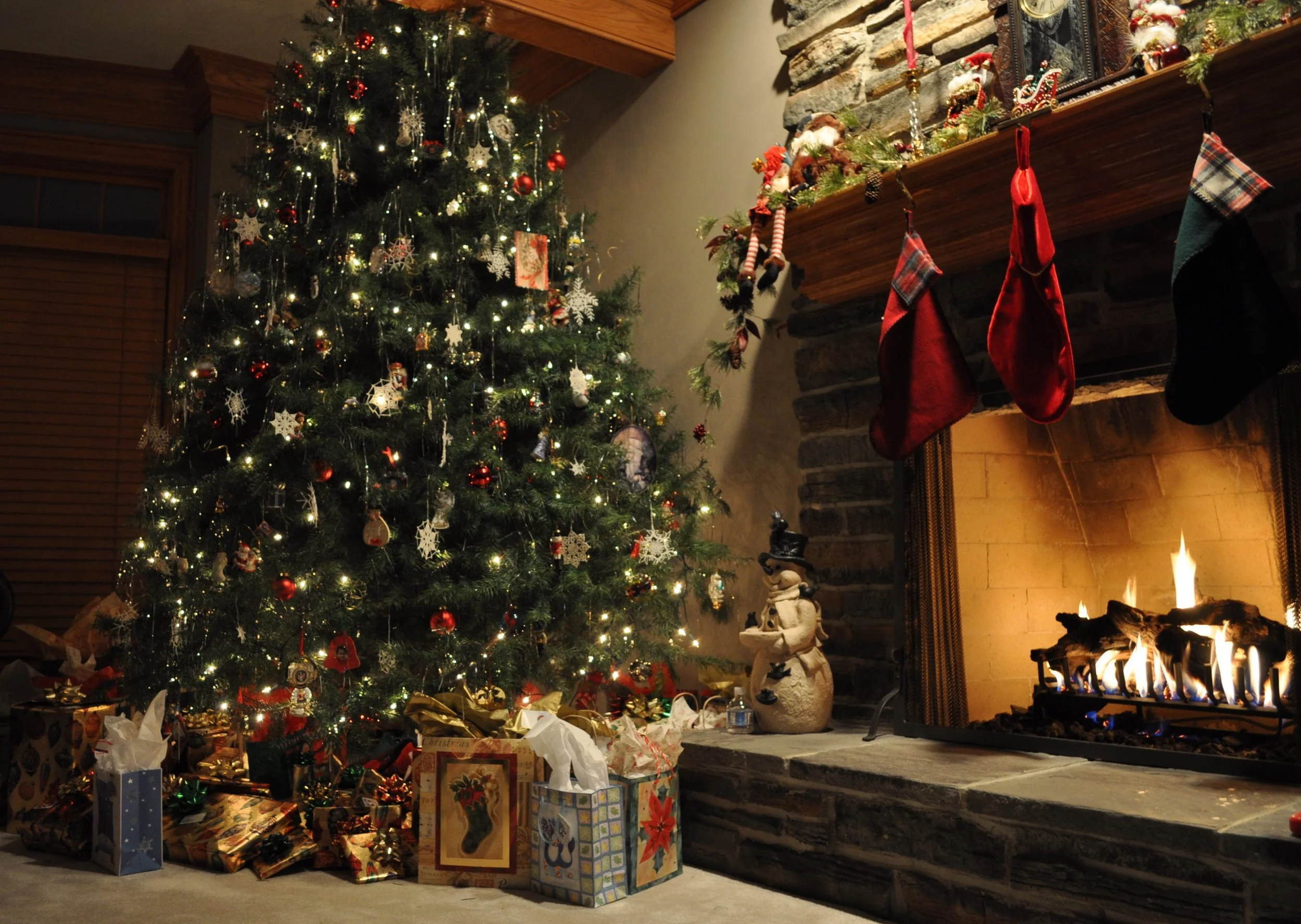 The Great Christmas Debate: Real or Fake Tree?