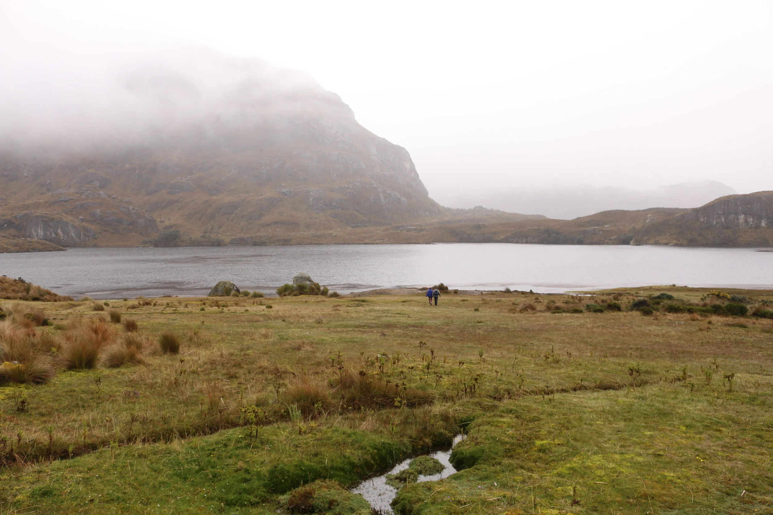 PHOTO: El Cajas National Park, Ecuador