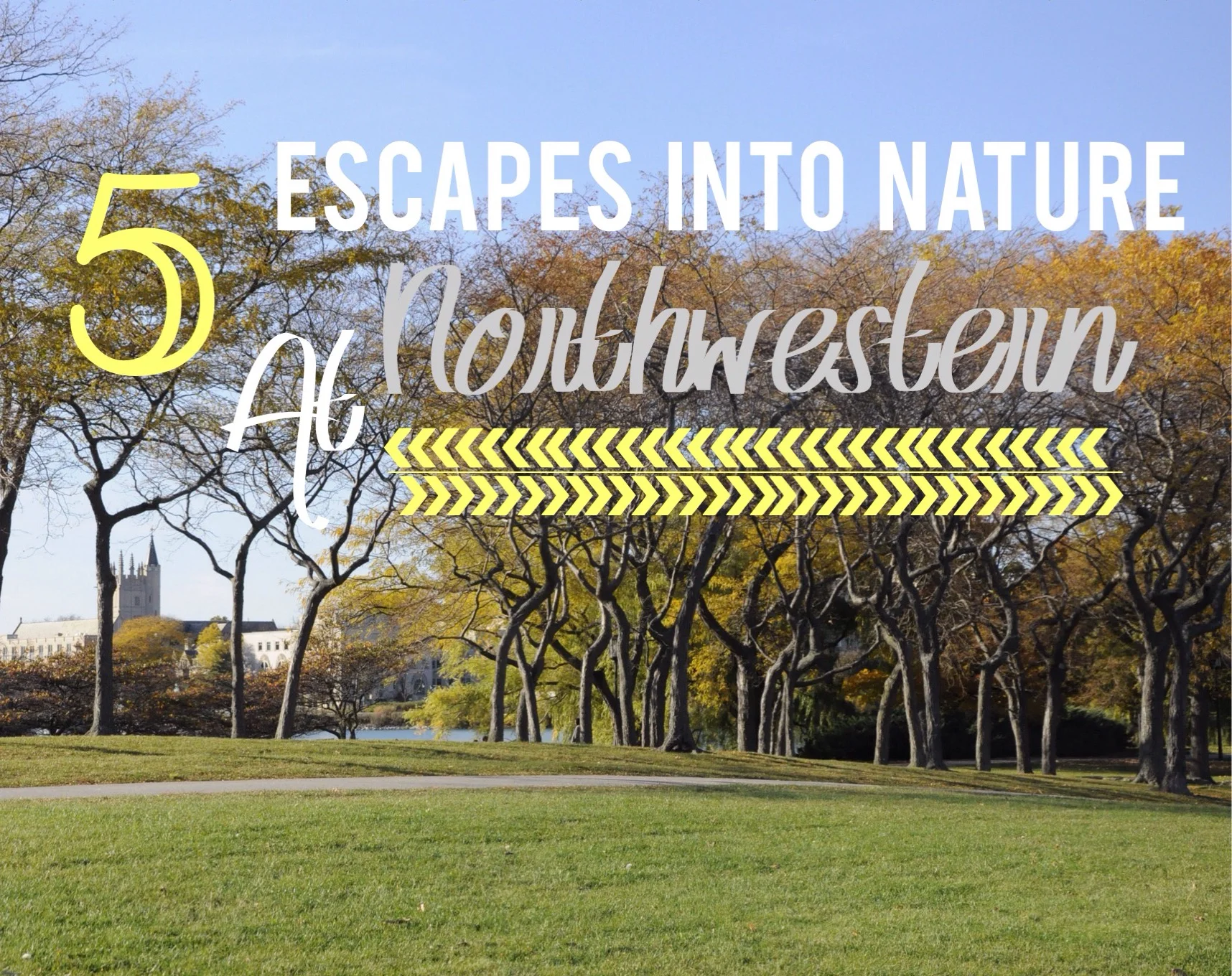 5 Escapes Into Nature at Northwestern