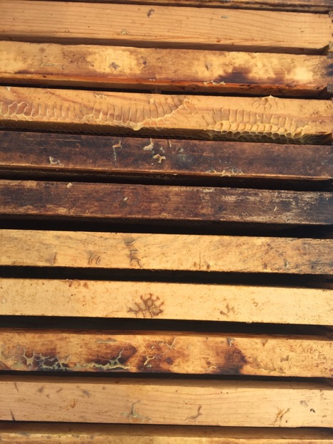 A close view of honeycomb residue left on the top of the hive.