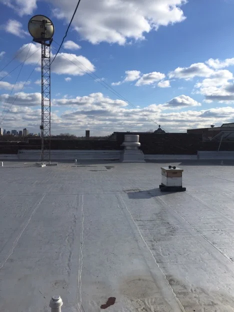 Though the roof is spacious, Gambill will only keep two hives at most in the interest of devoting sufficient attention to the bees.
