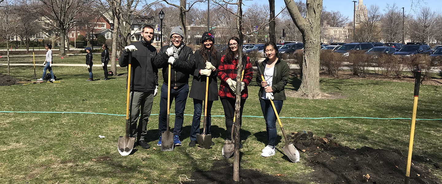 tree-planting.jpg