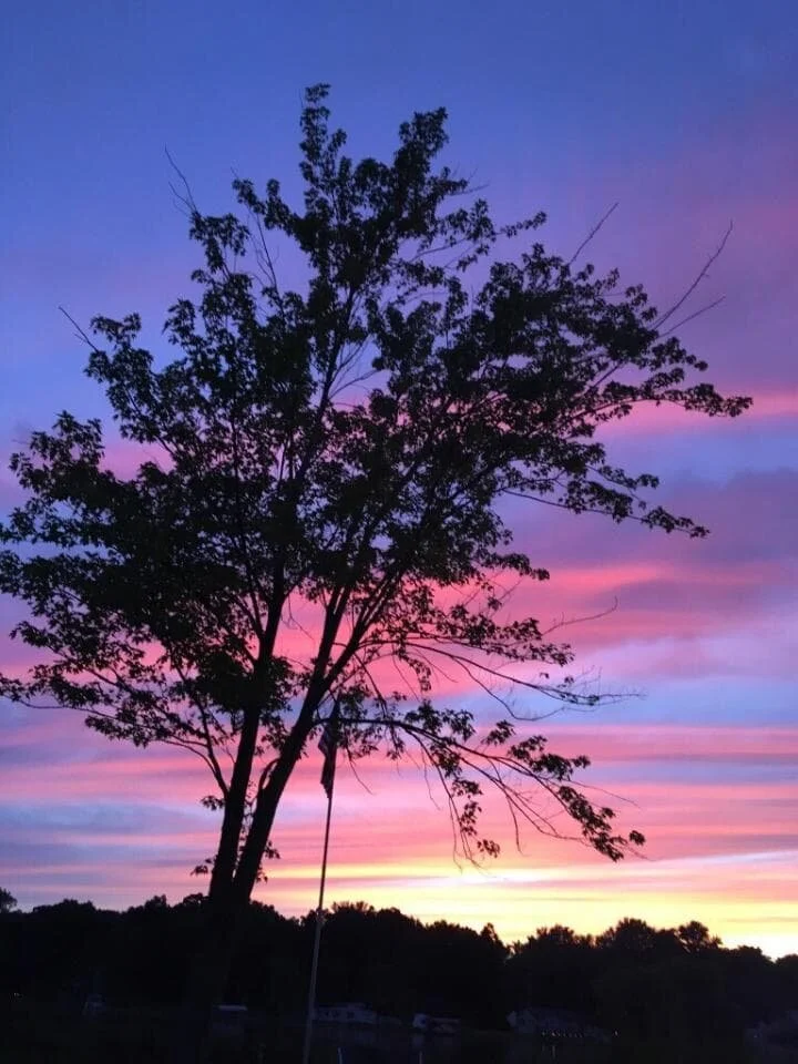 Photo by Bella Wilkes / In Our Nature