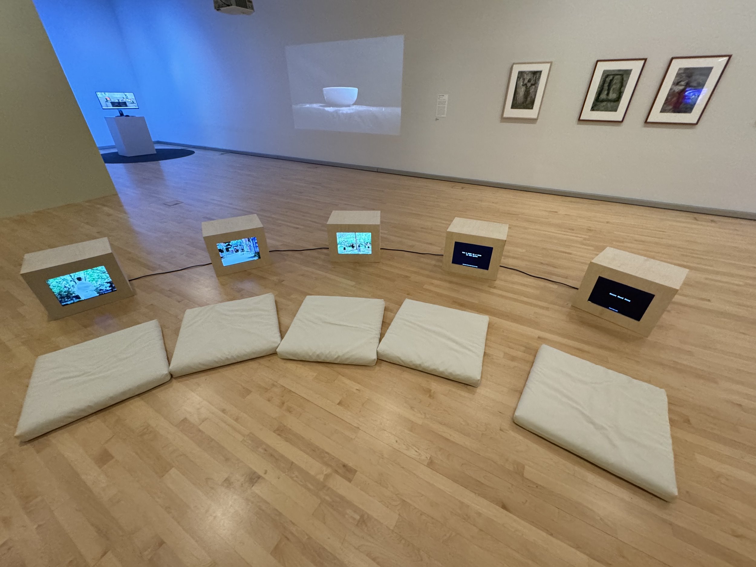 Actions for the Earth: An Exhibit to Ground Students