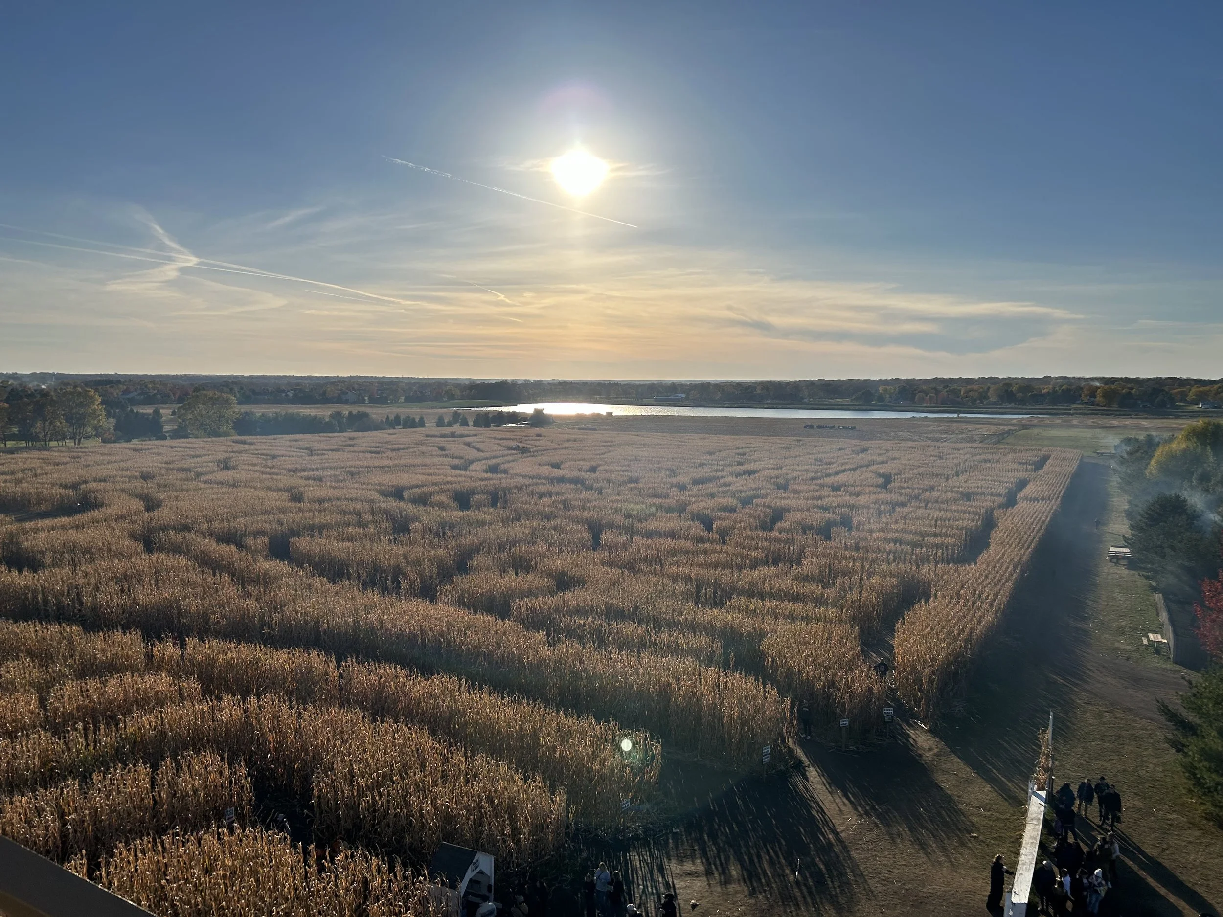 This Week on Earth: Nov 6-12