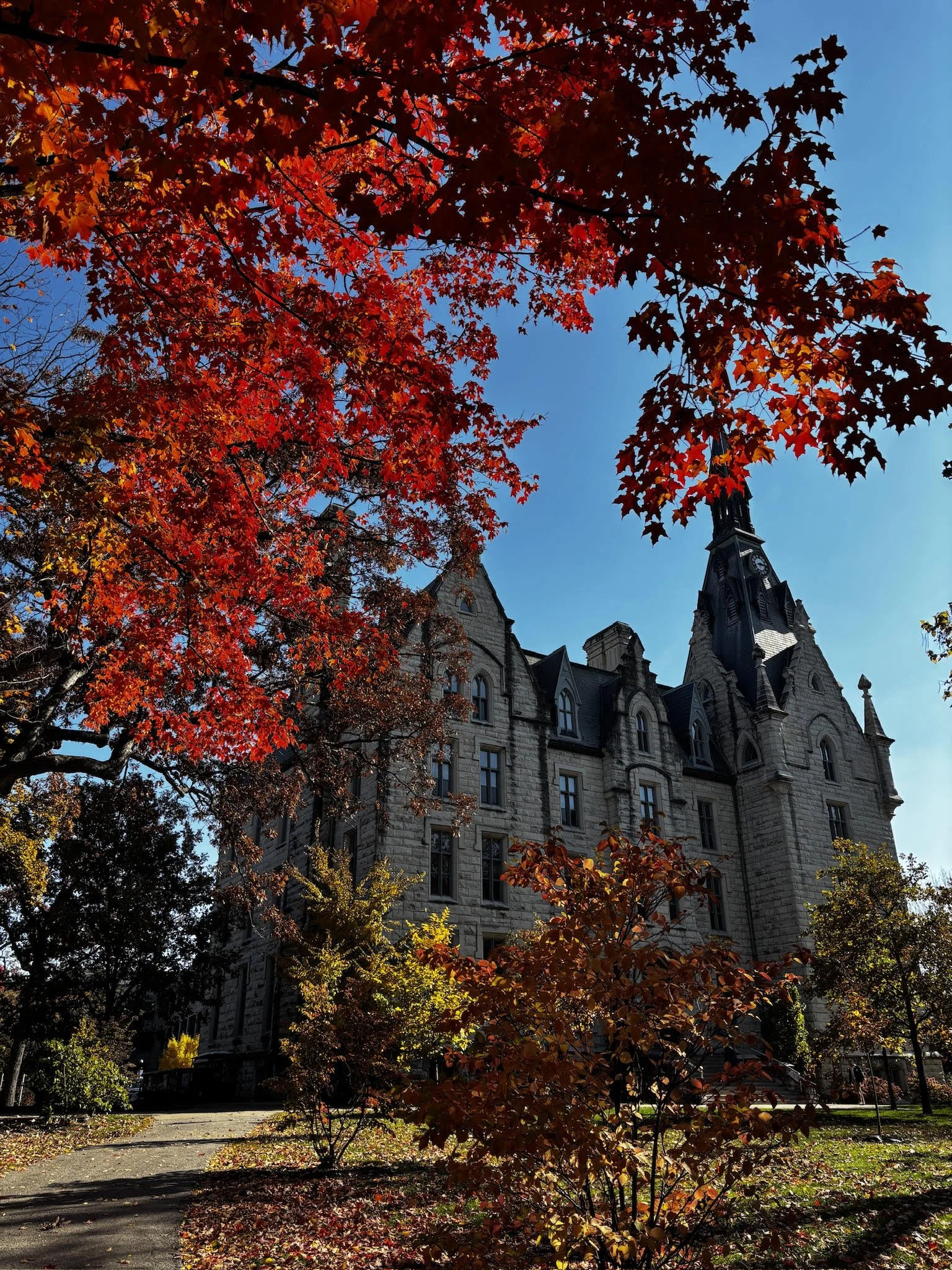 Sustainable Habits for College Students Living on Campus 