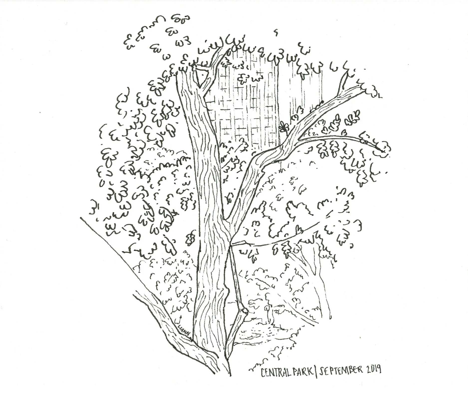 Climbing Series_000009.jpg