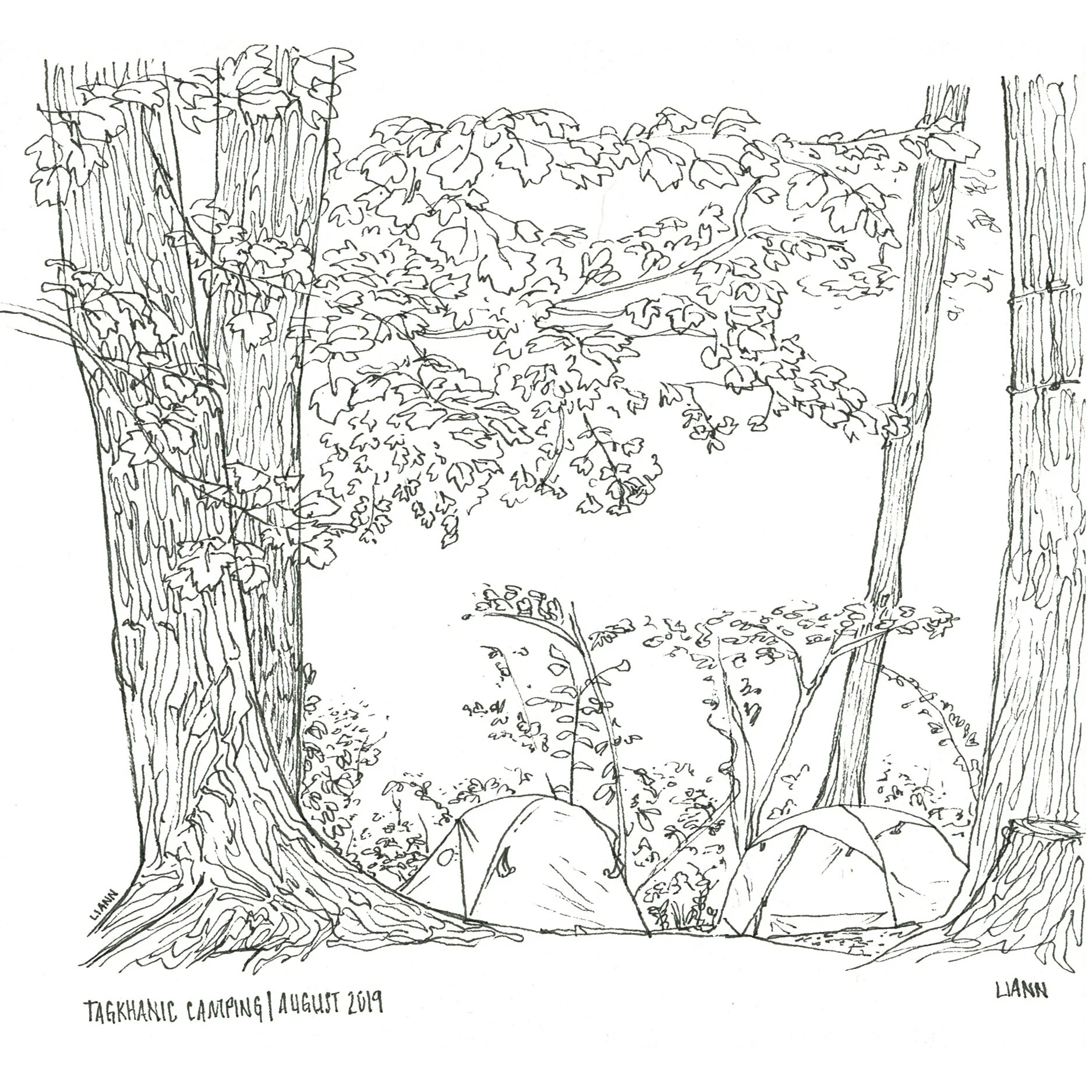 Climbing Series_000007.jpg