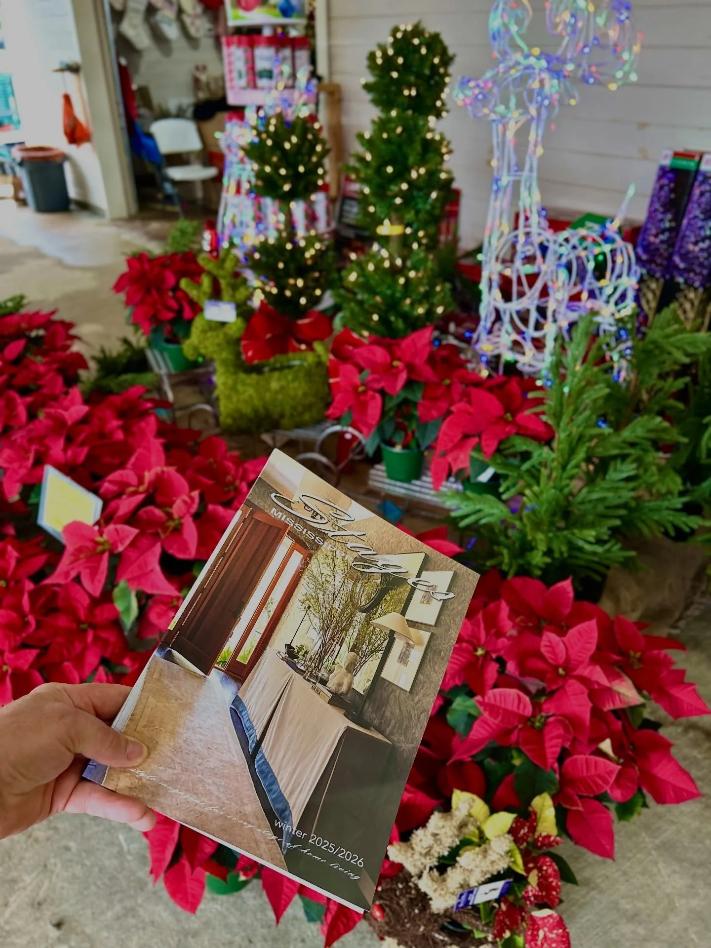 For fresh Christmas trees, produce,  specialty foods made in Mississippi and more visit, Rivers Market - Richland. 
@rivers_market_ 

Stages Mississippi 

#stagesms