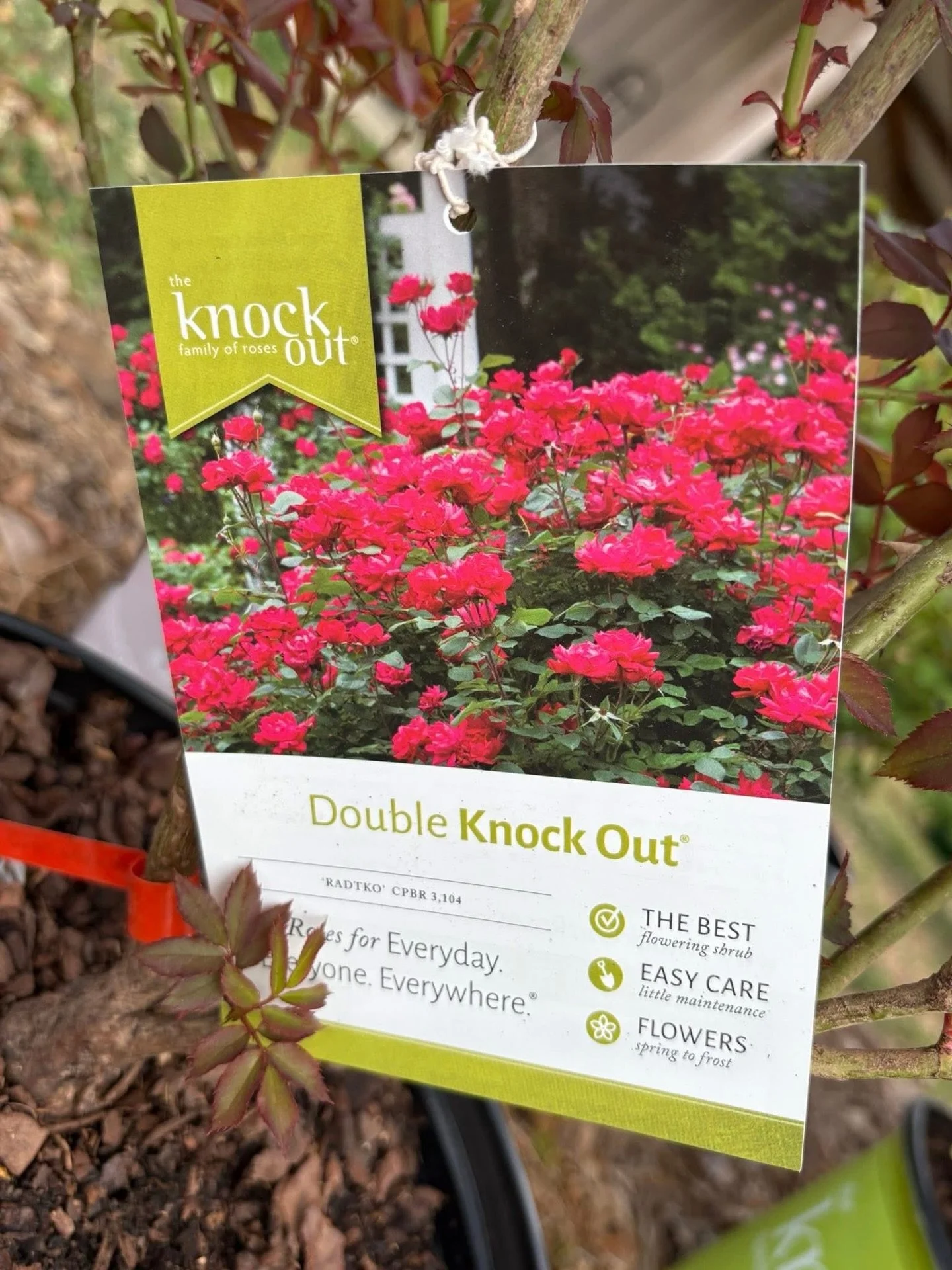 Step into something beautiful at Daisy Ann's! 

From charming garden finds and unique gifts to delicious gourmet treats and stylish home d&eacute;cor, Daisy Ann&rsquo;s is full of treasures waiting to be discovered. Whether you&rsquo;re refreshing yo