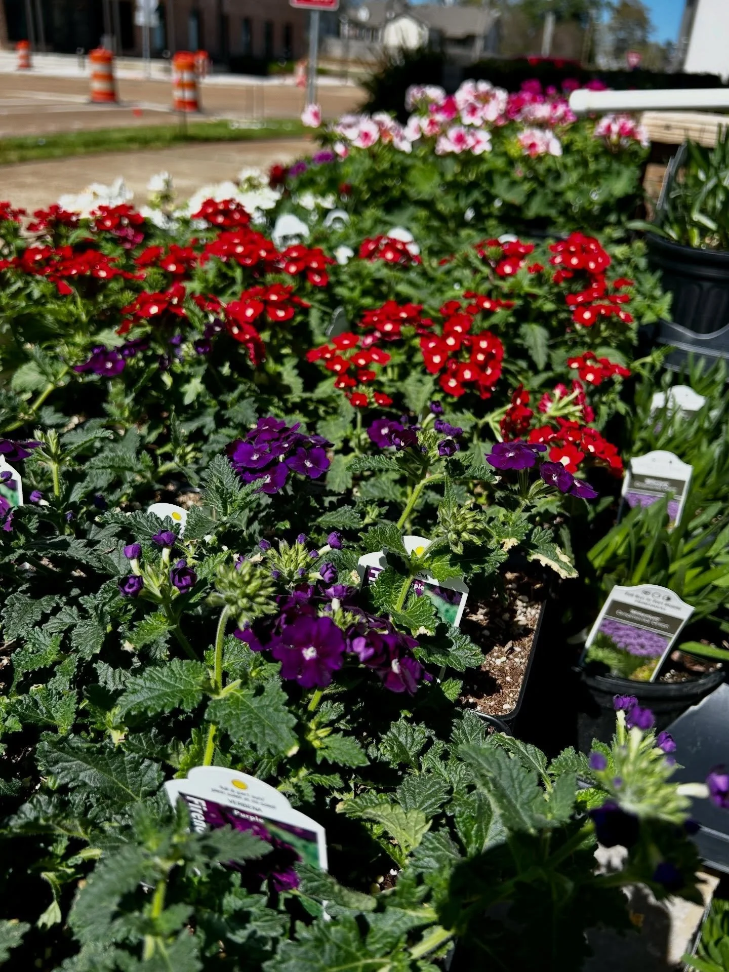 Fresh from the farm is homegrown goodness. 

Make your way to The Farm Store by Two Dog Farms  in Flora, Mississippi for farm fresh produce, local meats, pastured eggs, milk, flowers, pantry favorites, and so much more. @thefarmstore_by2dog 

From po