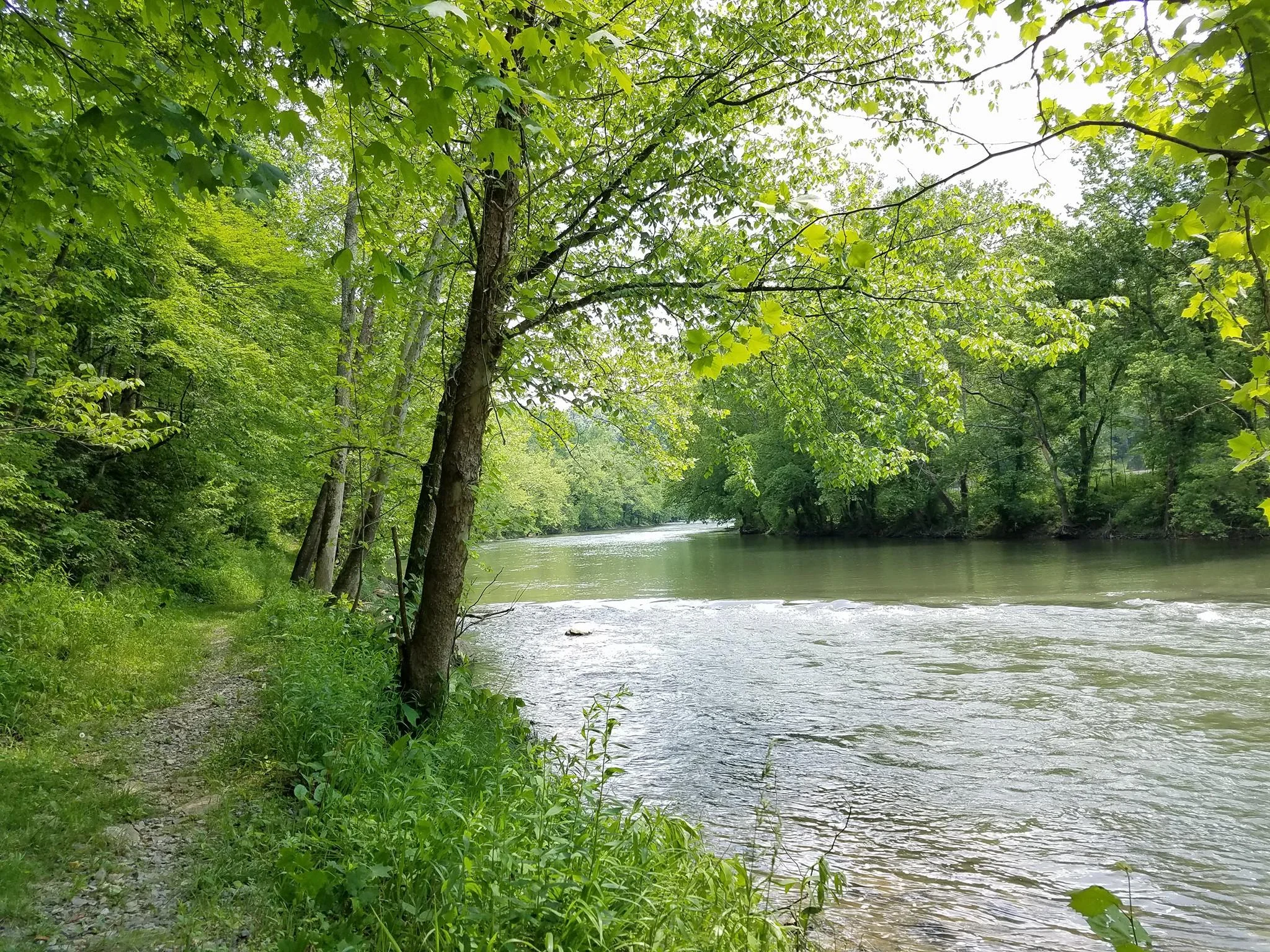 The beautiful Clinch River