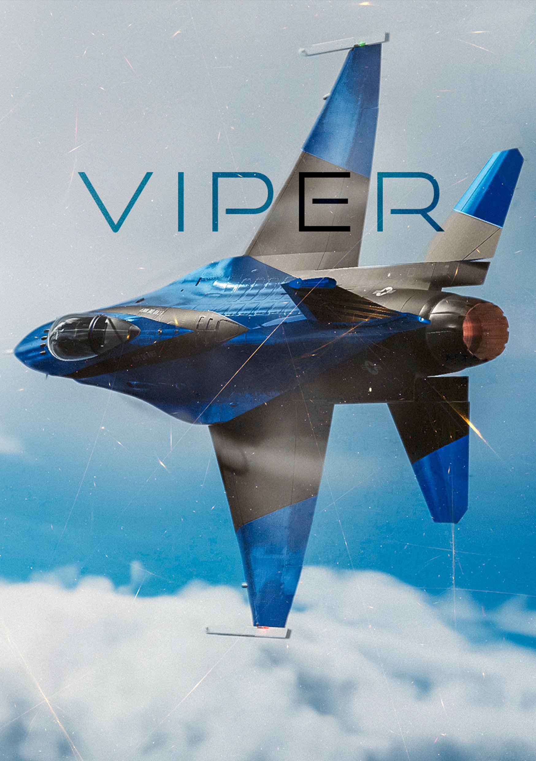 viper box.jpg