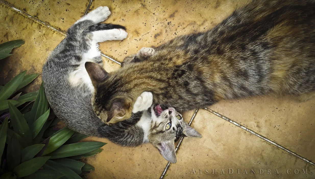 Mother and Son