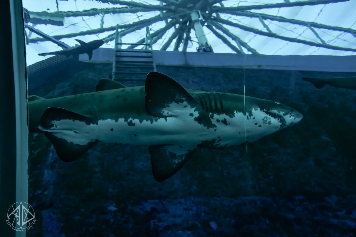 Sentosa-17.jpg