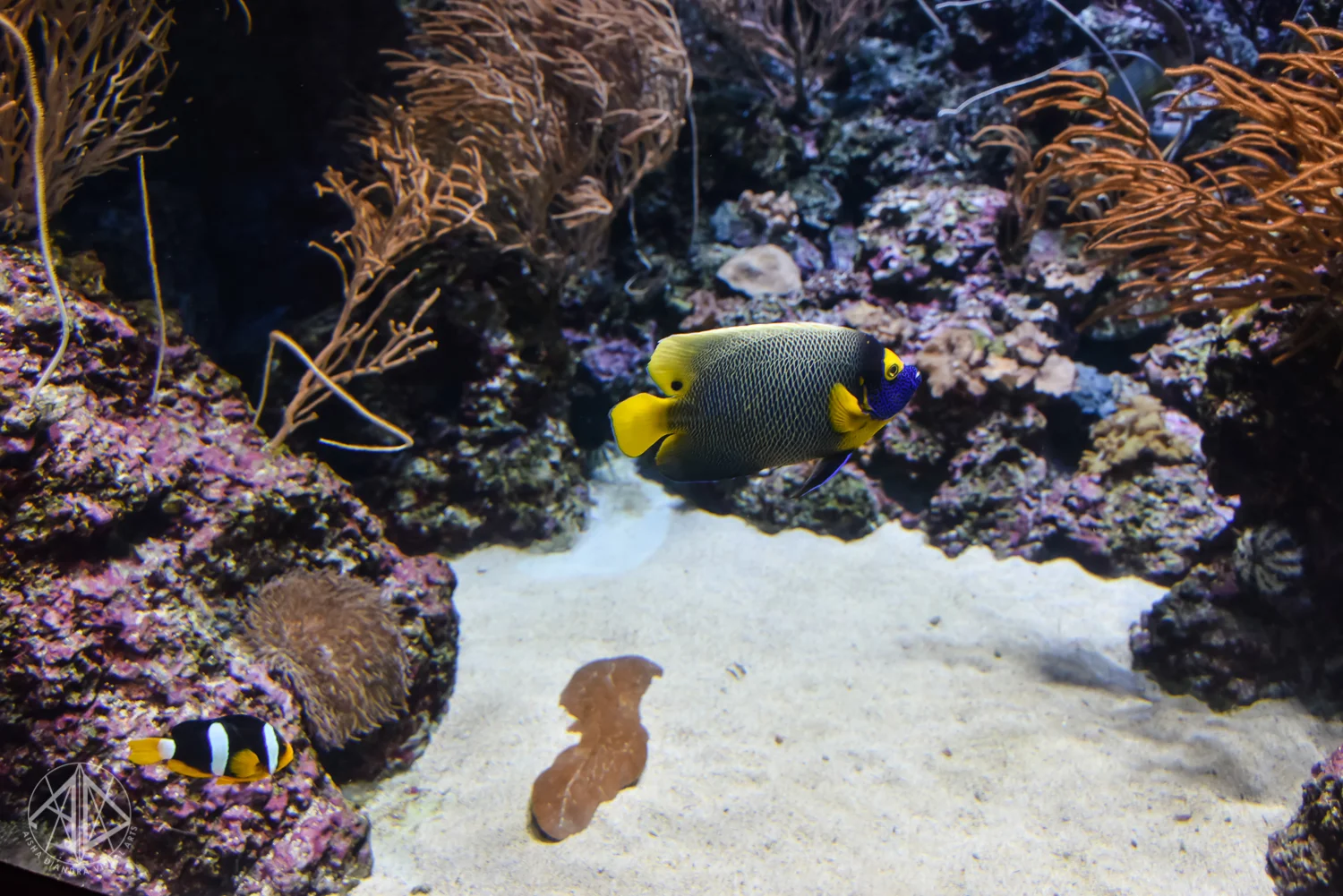 Sentosa-24.jpg