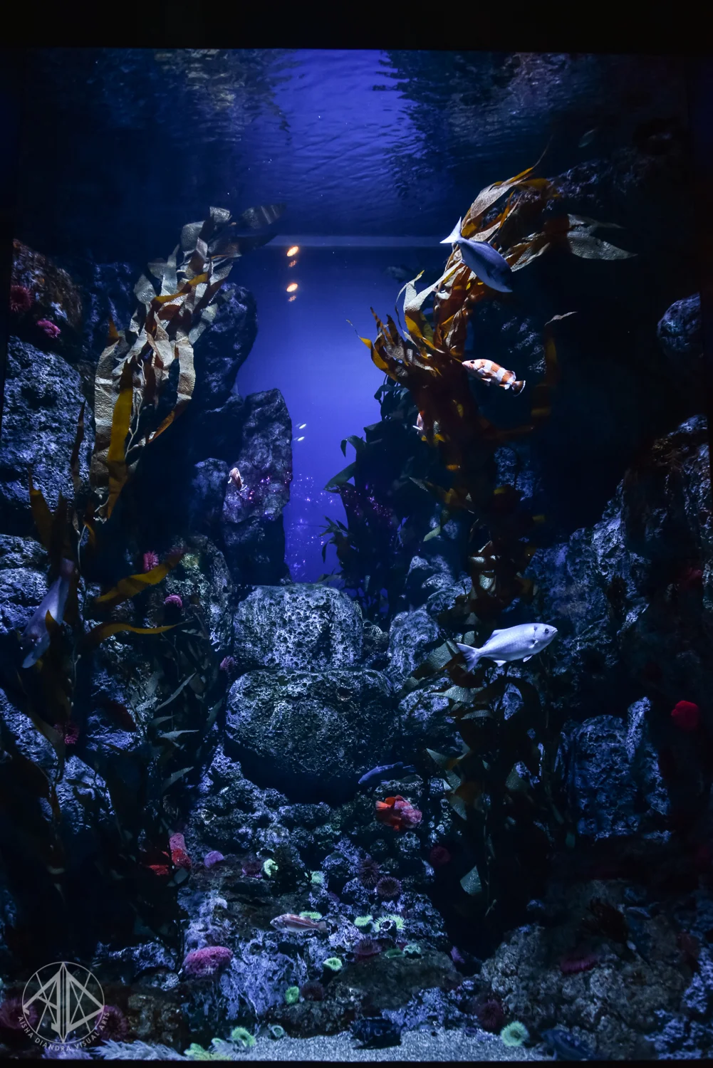 Sentosa-37.jpg