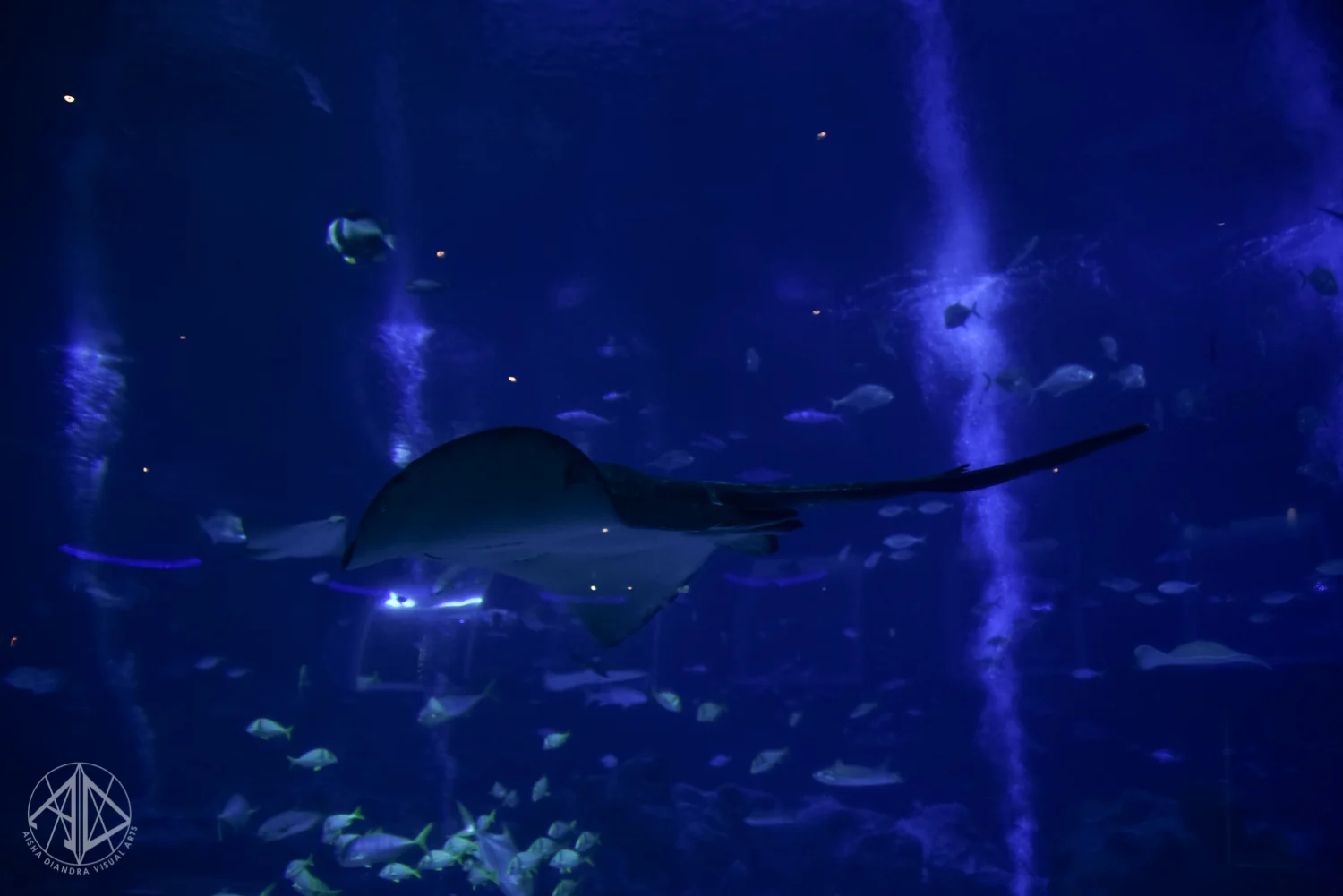 Sentosa-42.jpg