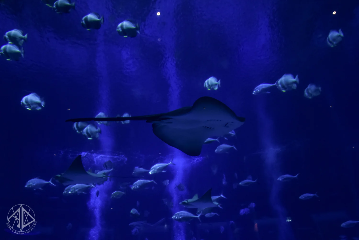 Sentosa-43.jpg