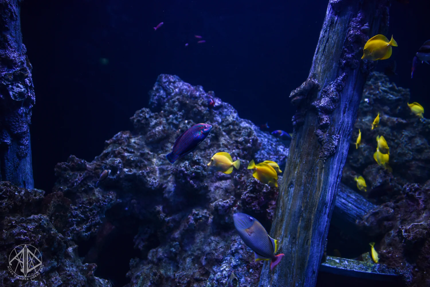 Sentosa-58.jpg