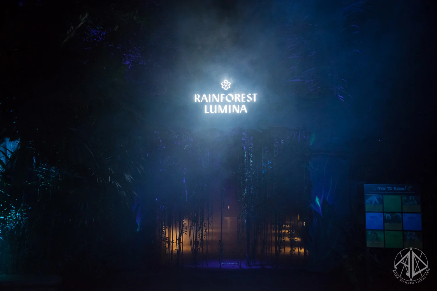 RainforestLumina-23.jpg