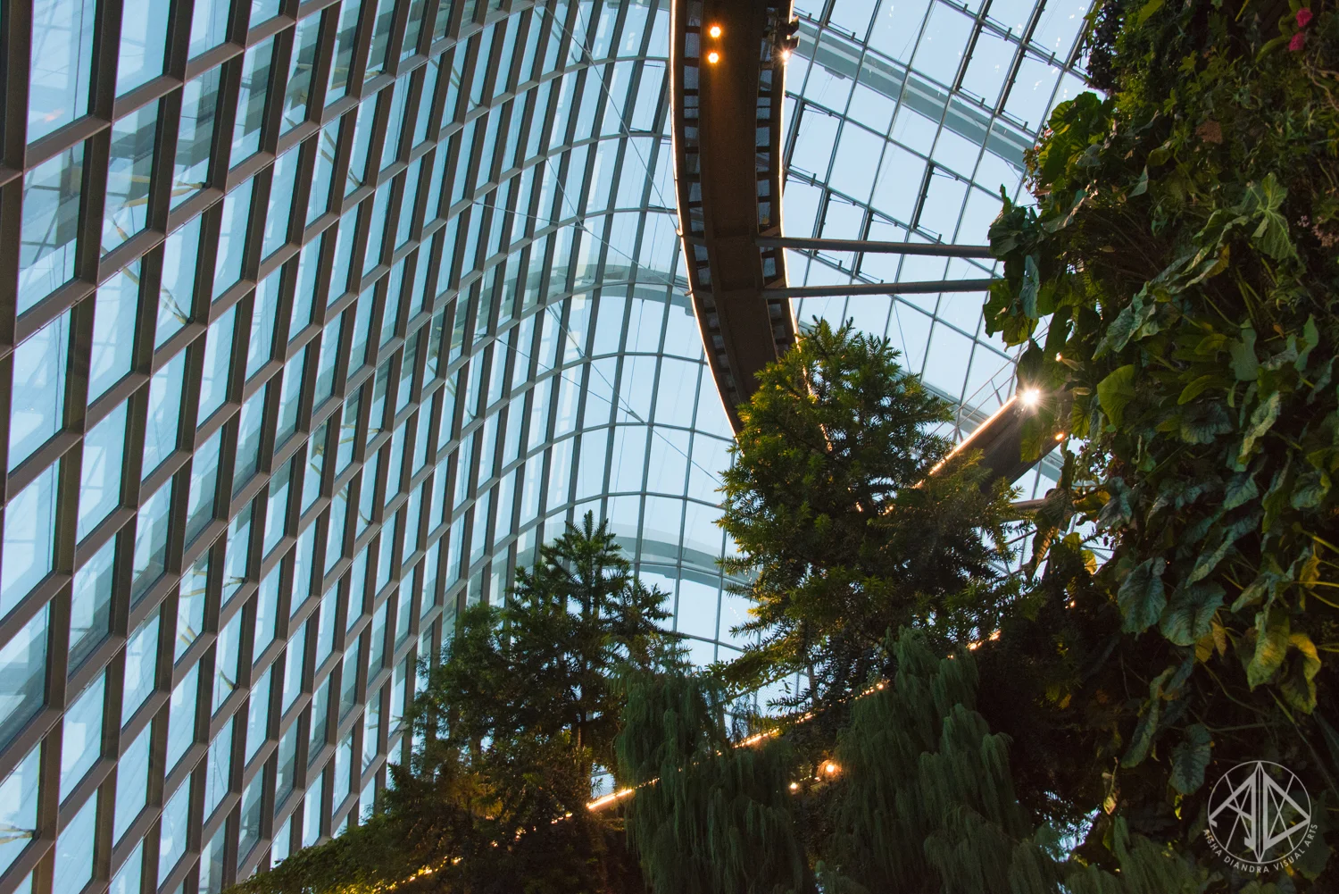 GardensByTheBay-3.jpg
