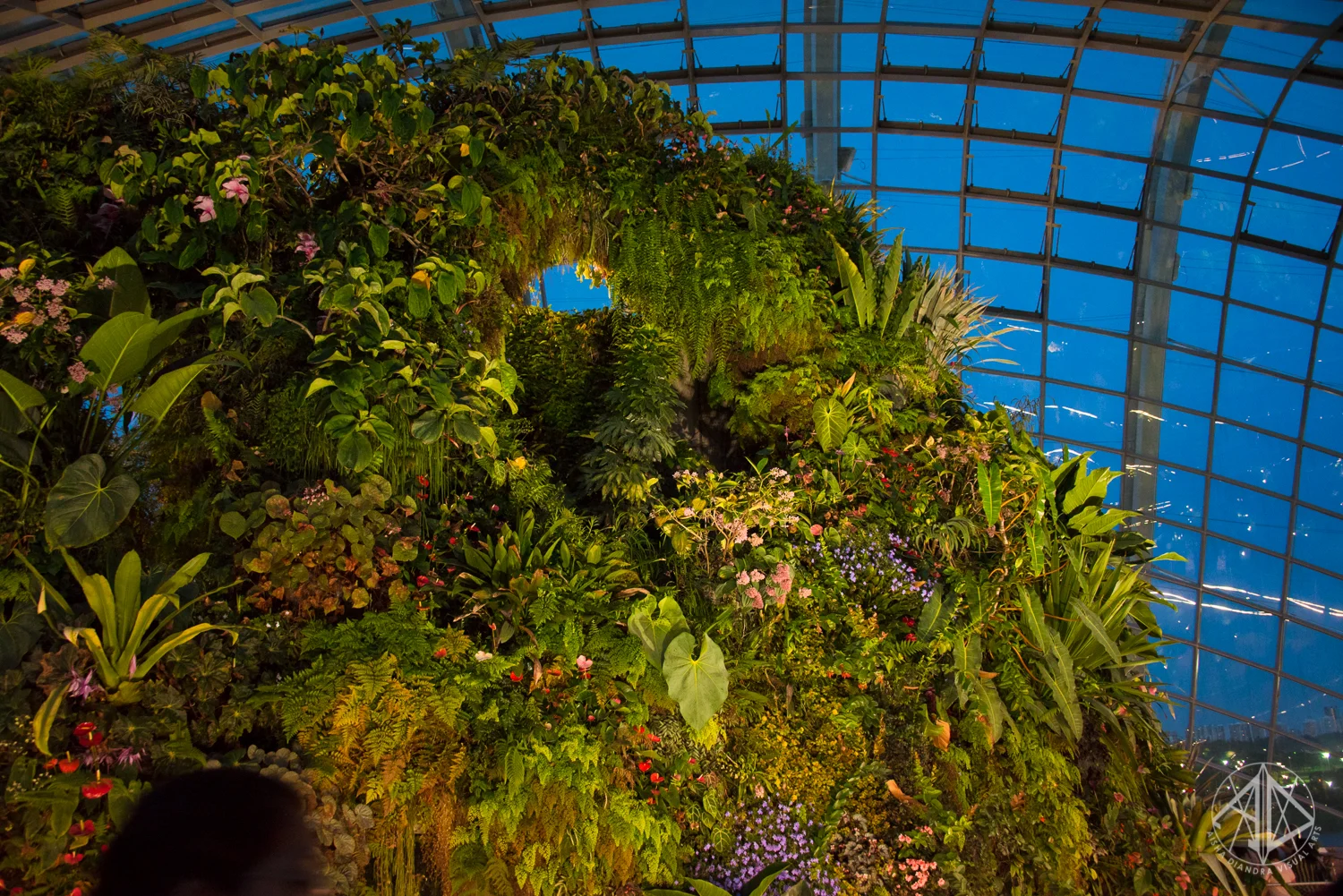 GardensByTheBay-7.jpg