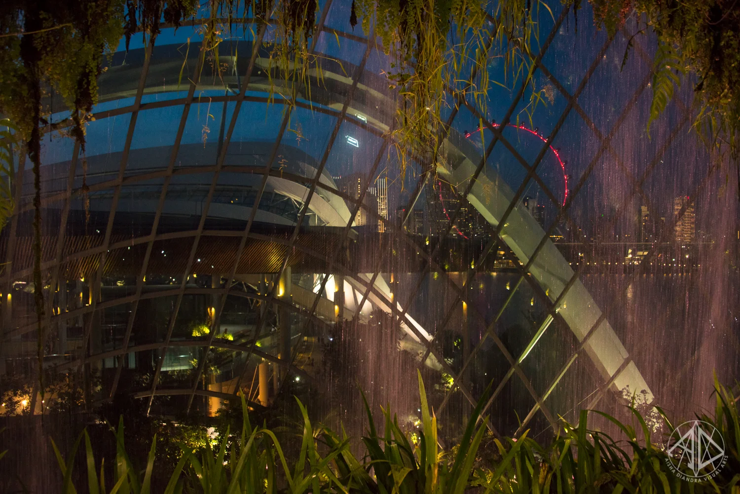 GardensByTheBay-12.jpg