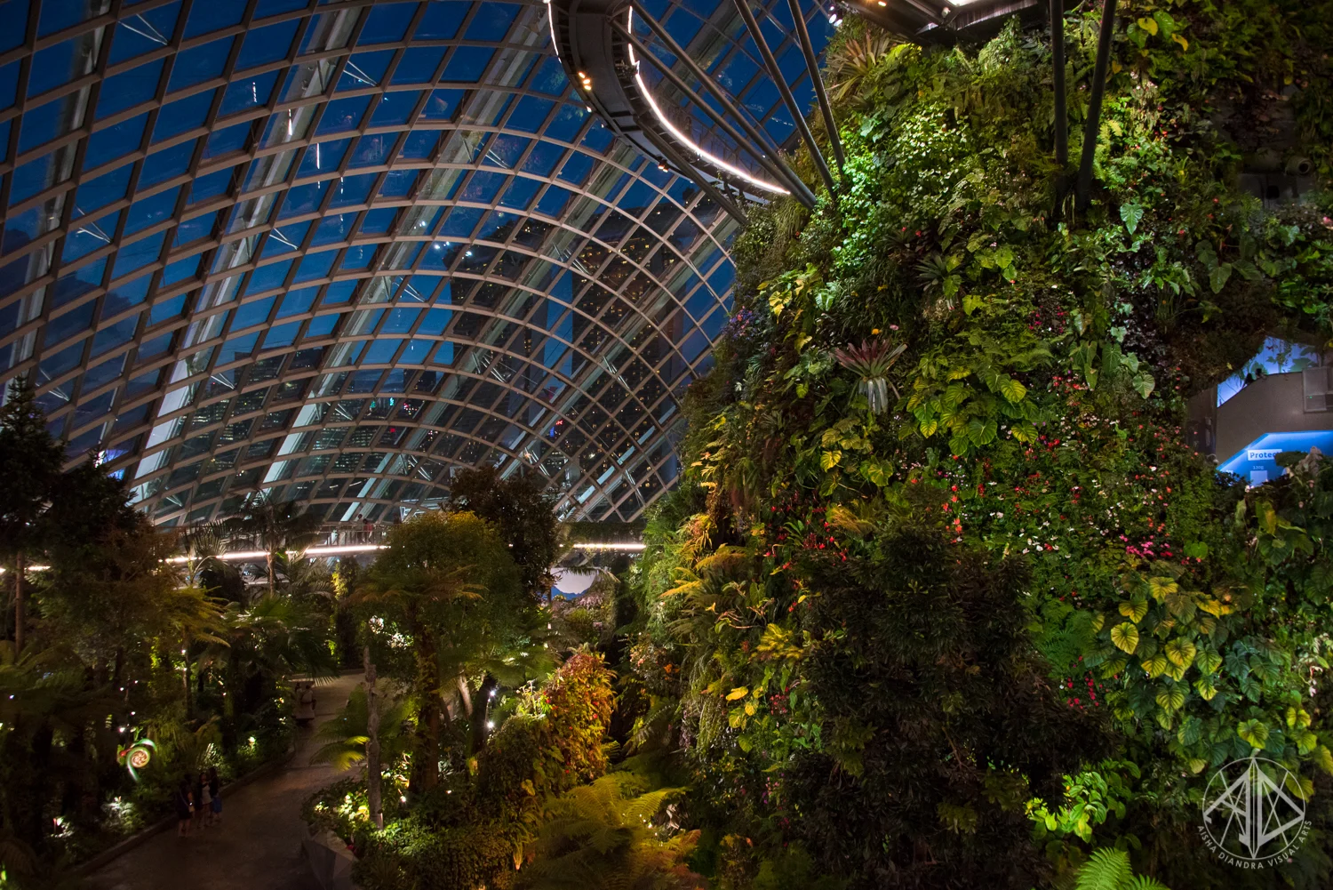 GardensByTheBay-14.jpg
