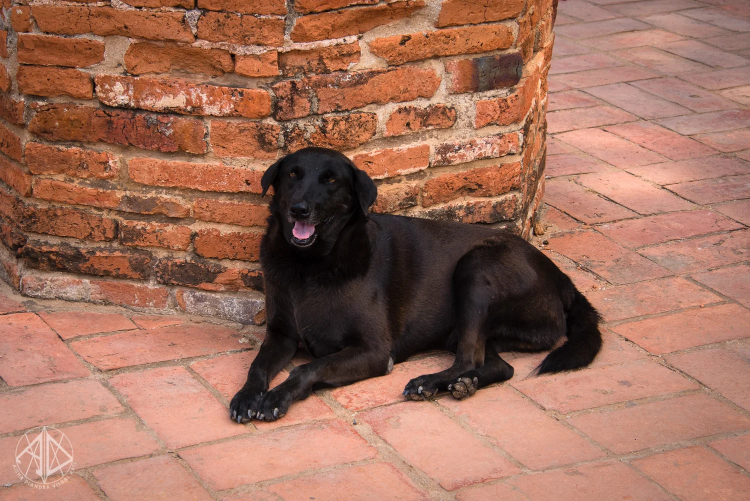 DSC_1816.jpg