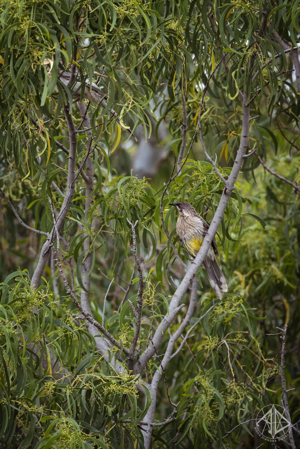 DSC_2397.jpg