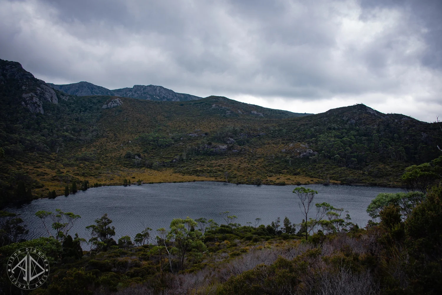 _DSC3226.jpg