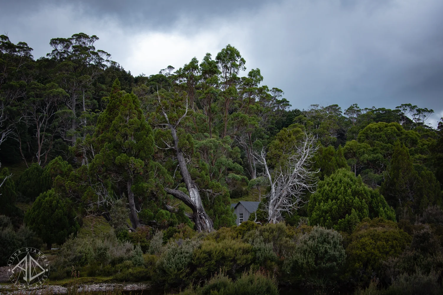 _DSC3374.jpg