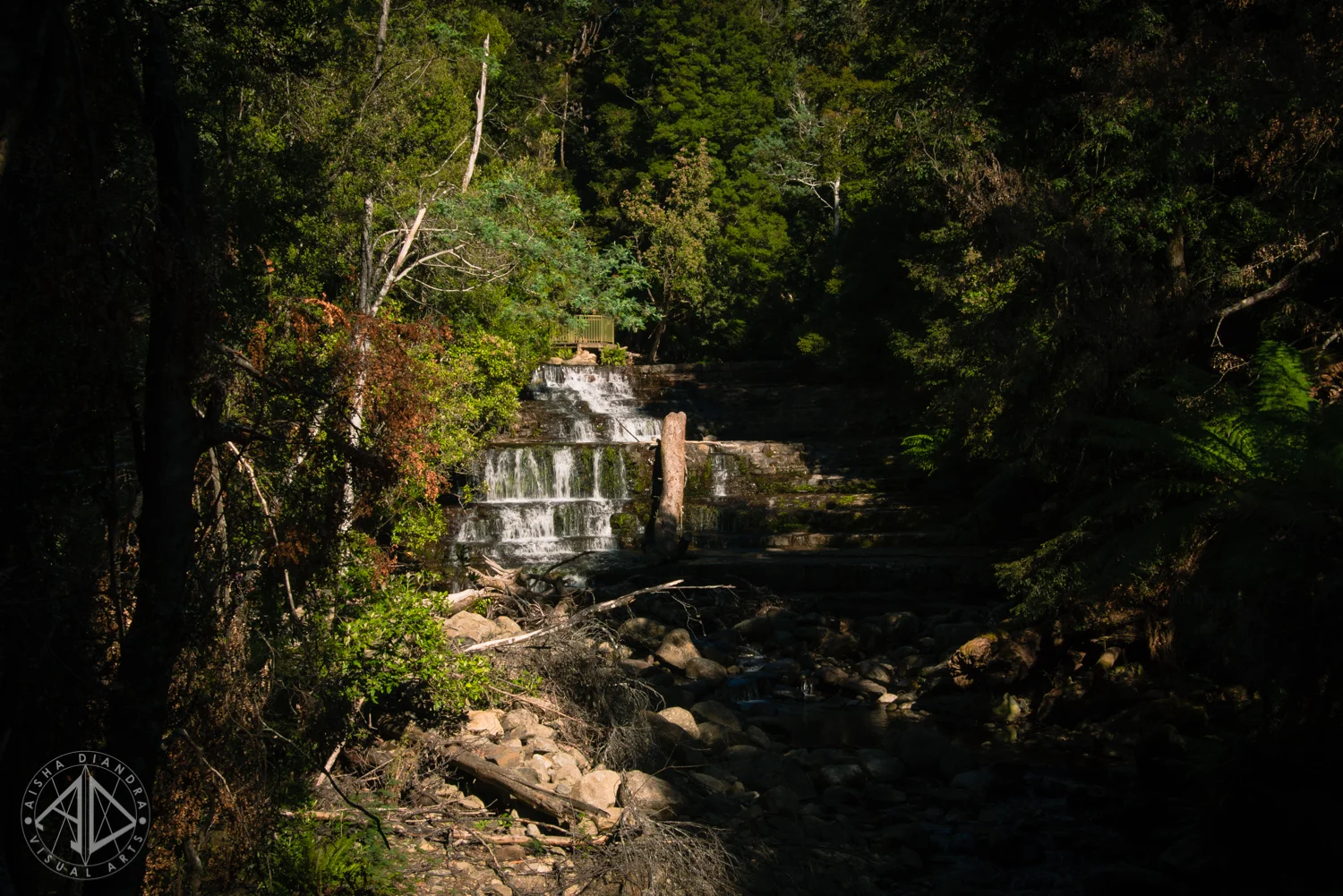 _DSC3645.jpg
