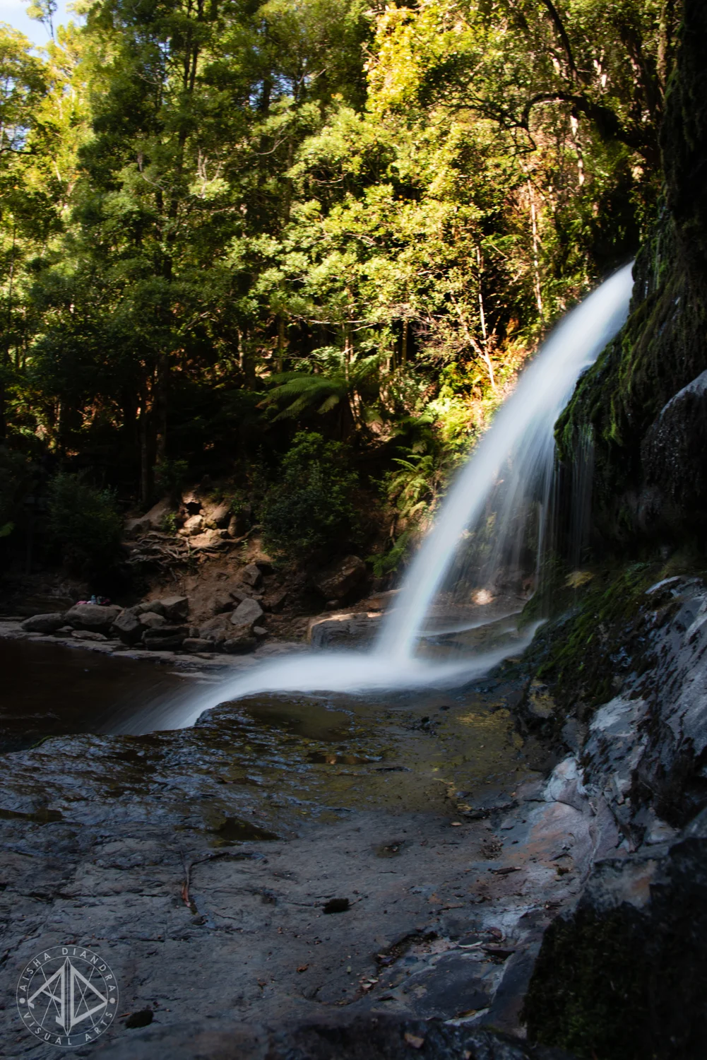 _DSC3711.jpg