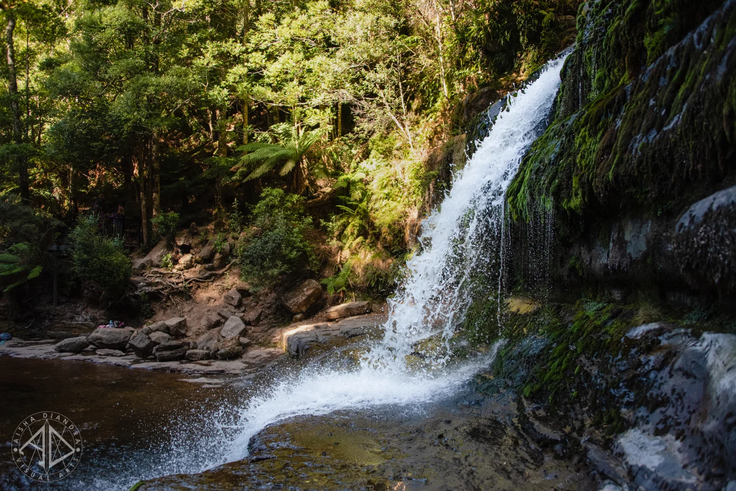 _DSC3716.jpg