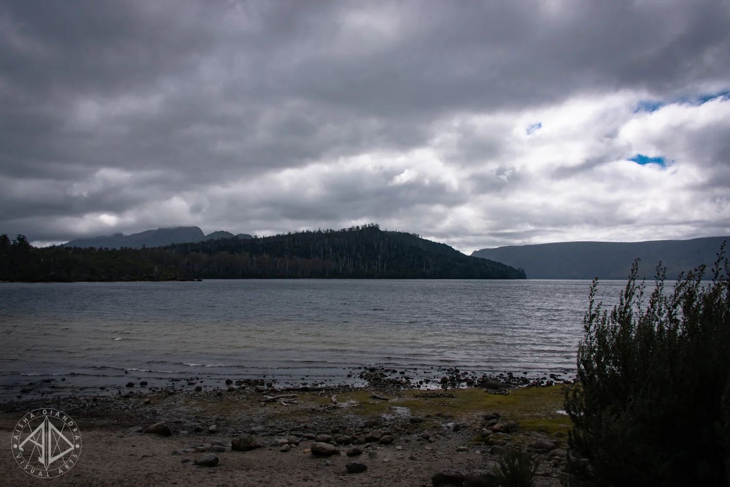_DSC3758.jpg